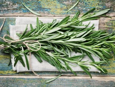 Το μυστικό της μακροζωίας βρίσκεται στο δεντολίβανο